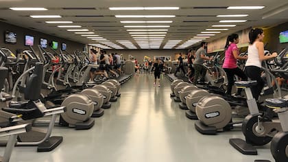En la primera cadena de gimnasios low cost del país los precios son tan amigables como el entrenamiento.