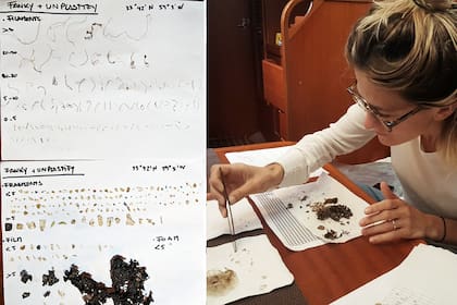 En la primera muestra que tomó en el medio del océano encontró 134 filamentos, 49 partes de film, 38 fragmentos y 5 trozos de telgopor