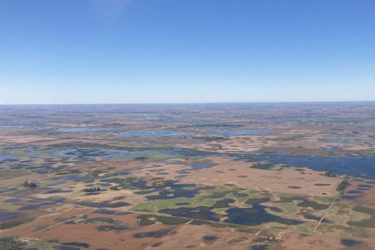 En la provincia de Buenos Aires hay 680.000 hectáreas inundadas y otras 200.000 afectadas de manera indirecta