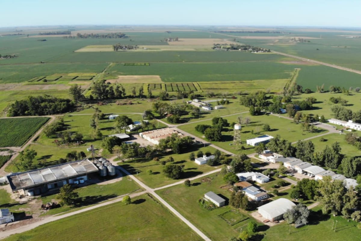 En la provincia de Córdoba el INTA Marcos Juárez ha sido punta de lanza para la producción