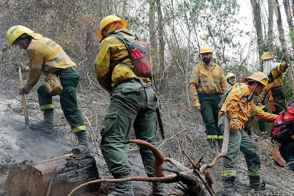 En la provincia de Jujuy, en lo que va del año ya se quemaron 15.000 hectáreas en distintas zonas