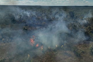 En la región Cerrado de Brasil, prácticas indígenas transforman la estrategia contra incendios