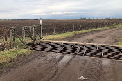 En la región pampeana las lluvias no alcanzaron para reponer reservas de humedad. Foto: Juan P. Ioele