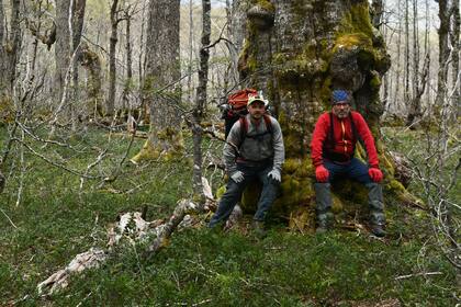 En la reserva Shoonem, relevando el territorio donde se cree que habitan unos 60 huemules.