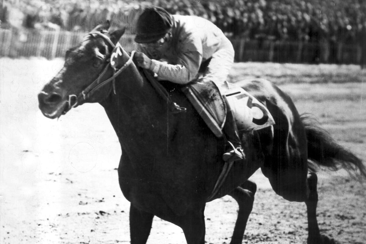 En La Rural, se venden desde el mediodía las yeguas madres; habrá otros tres remates