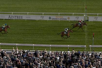 En la simulación del Grand National ganó Potters Corner
