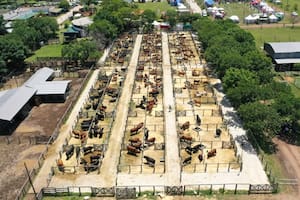 En la Sociedad Rural de Corrientes, el evento buscará "generar un espacio para los agronegocios, el conocimiento, la biotecnología"