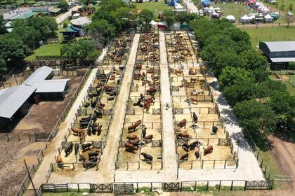 En la Sociedad Rural de Corrientes, el evento buscará "generar un espacio para los agronegocios, el conocimiento, la biotecnología"