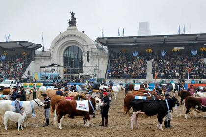 En la SRA habrá nuevamente elecciones