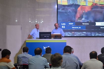 En la subasta que reunió a 10 firmas consignatarias se puso a la venta un aproximado de 11.000 cabezas