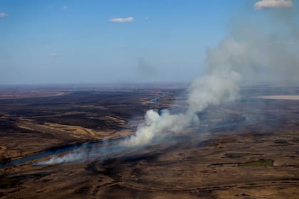 En la última semana hubo más de 2300 focos de incendio en el río Paraná
