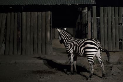 En la variedad está el gusto: se entregan los premios de artes visuales del FNA