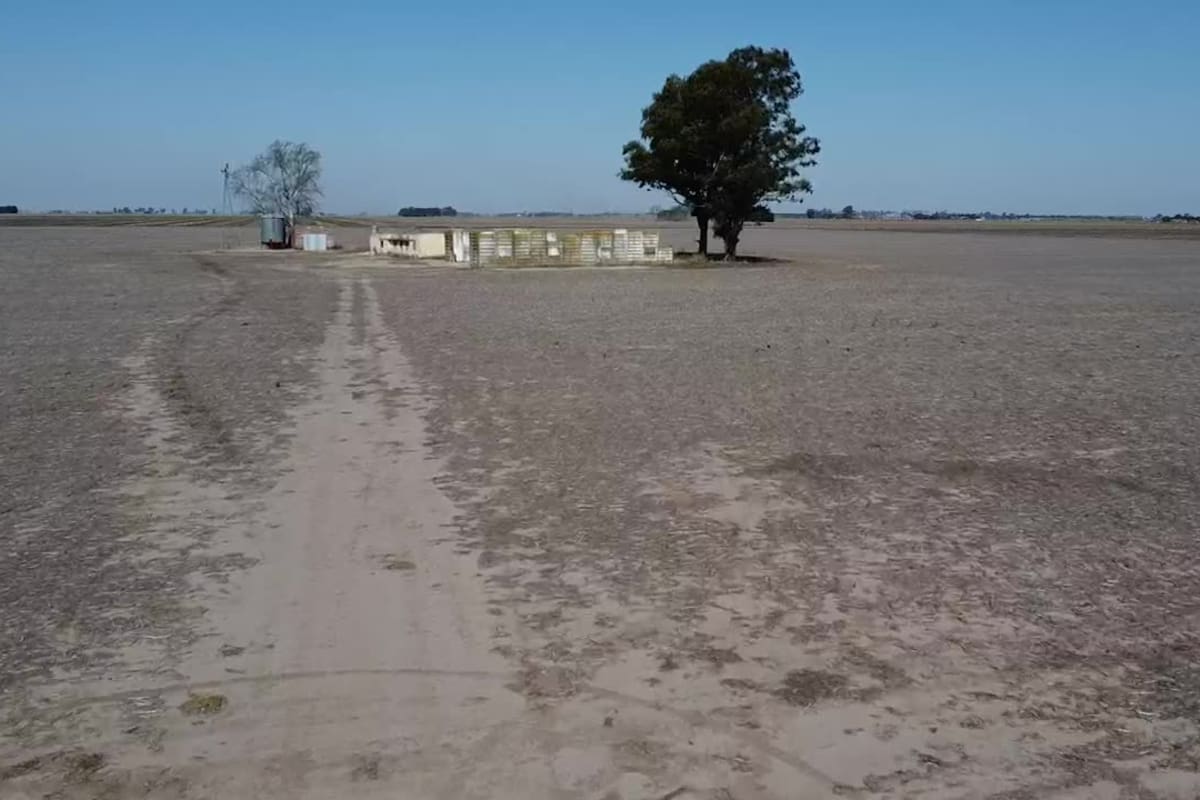 En la zona agrícola núcleo preocupa la falta de precipitaciones