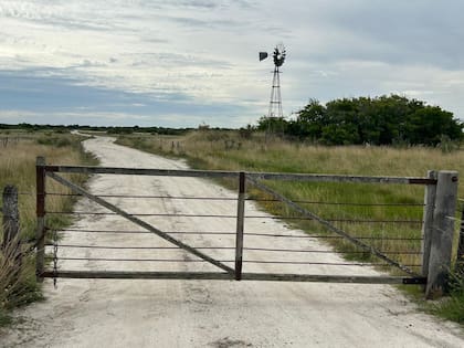 En la zona de cría, el ternero también ganó poder de compra: la adquisición de una hectárea demandó 738 kilos, un 17% menos que en julio de 2025 y un 12% inferior al promedio quinquenal