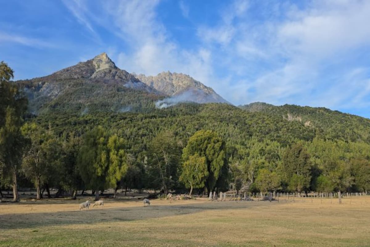 En la zona de El Manso el fuego arrasó 900 hectáreas