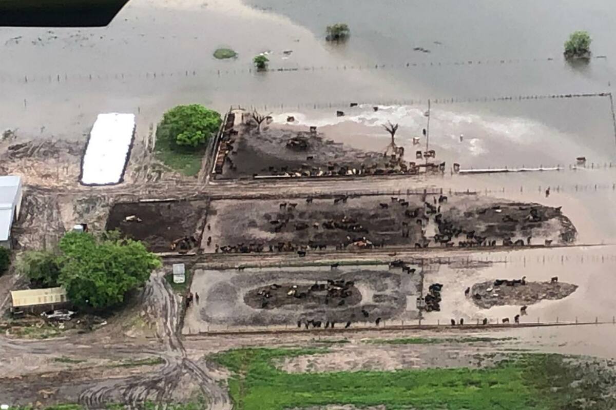 En la zona de Florencia Walter Mussin tiene la mitad de un feedlot con los corrales bajo el agua