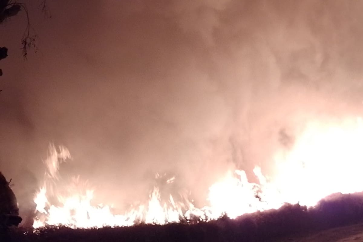 En la zona de Junín, en la última semana se registraron unos 30 siniestros. Foto Gentileza