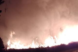 Alerta en Junín por una sorpresiva seguidilla de incendios de campos