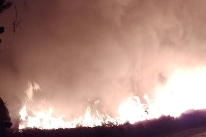 En la zona de Junín, en la última semana se registraron unos 30 siniestros. Foto Gentileza