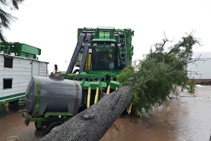 En la zona de La Clotilde, Chaco, el temporal también provocó daños en la maquinaria