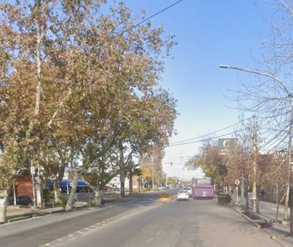 En la zona de Rodeo de la Cruz, en Guaymallén, un hombre de 65 años solo sufrió heridas leves luego de que se le cayera una rama de un árbol encima