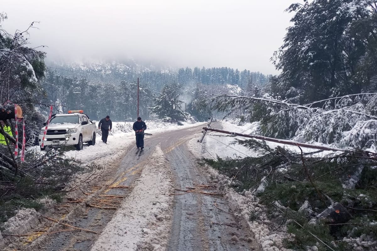 En Lago Puelo, por las intensas nevadas, hubo caída de árboles y de postes de tendido eléctrico