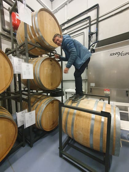 En Laguardia, la Bodega 202 trabaja con otra escala pero un hilo conductor similar. "Yo sé lo que la madera me aporta: una micro oxigenación que me ayuda a domesticar los taninos un poco rudos de mis vinos", dice Luís Güemes, el director técnico de 202