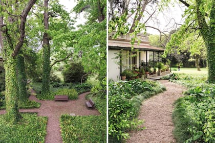 En las afueras de Colonia, Uruguay, Carlos Thays diseñó, junto con la paisajista Pamela Ortiz, un jardín de sombra que, en sus palabras, "es una recreación / ficción de El jardín de los senderos que se bifurcan”, el cuento de Jorge Luis Borges.