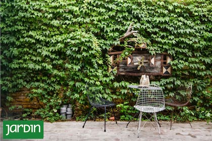 En las ciudades, la medianera ya no se esconde, se diseña y se convierte en paisaje vertical
