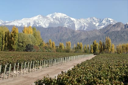 En Las compuertas la finca donde se realiza el Terrazas de Los AndesApelación de Origen: Las compuertas