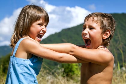En las conclusiones del estudio los investigadores manifiestan que los hermanos pueden tener un efecto positivo en el desarrollo temprano de un niño, incluso en los casos en que la relación no es nada cordial y roza lo conflictivo