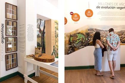 En las dos fotos se pueden ver murales que ilustra los pasos de los millones de años de evolución vegetal. Los profundos cambios geológicos que sufrió el planeta a través de movimientos y catástrofes originaron la respuesta evolutiva de los seres vivos.