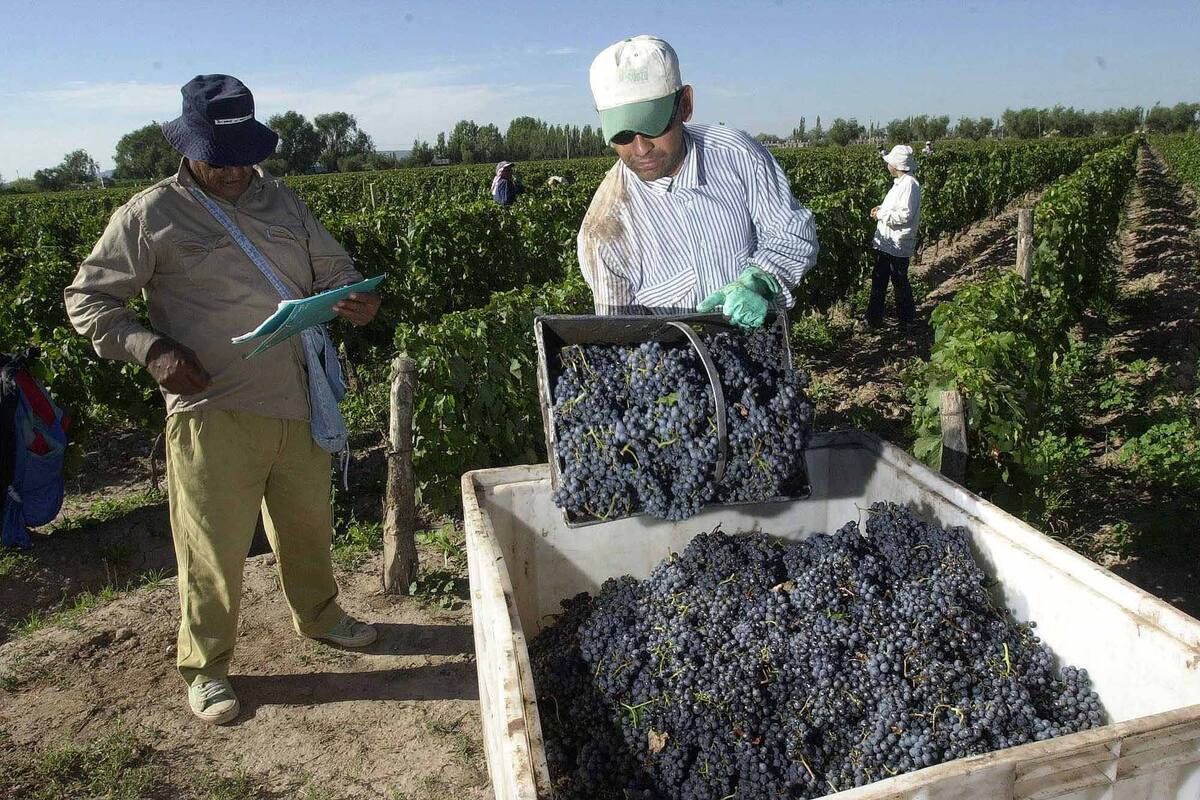 En las economías regionales apuntan al incremento de los costos