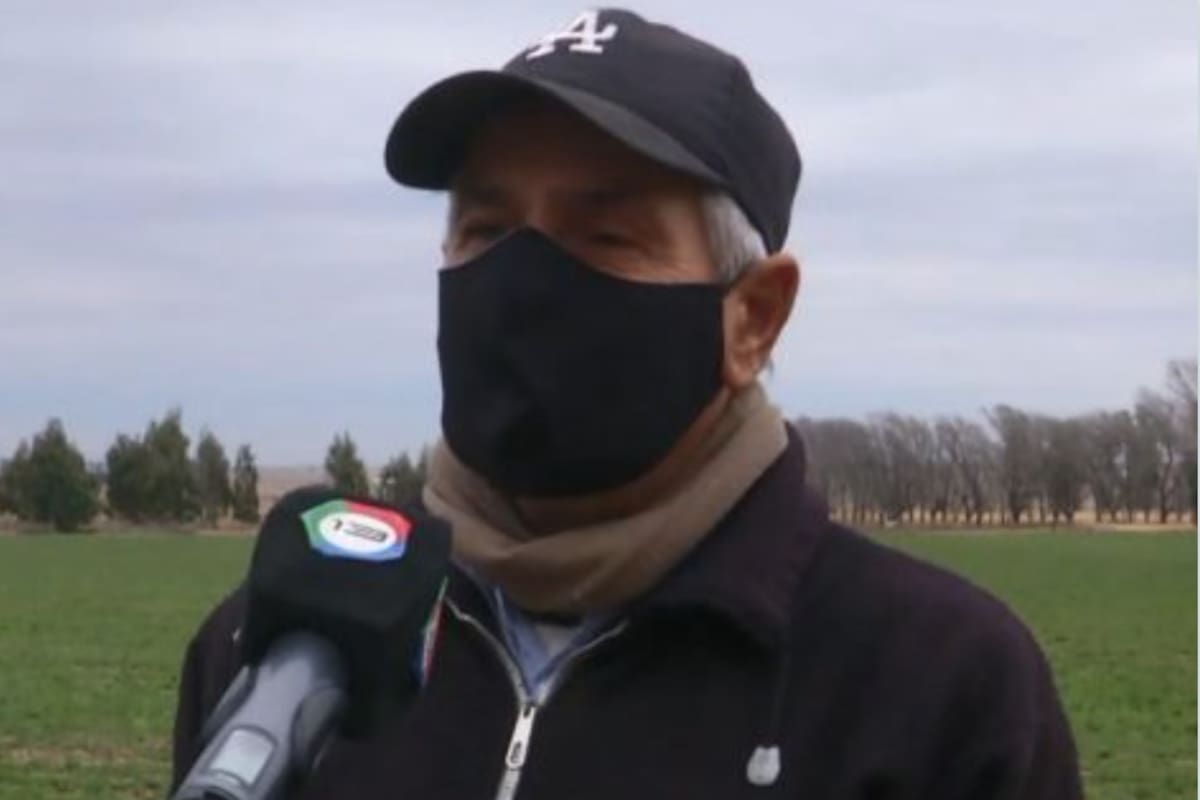 En Las Higueras, Córdoba, al ganadero Edgardo Bressan le faenaron en su campo tres vacas durante los partidos de la selección argentina en la Copa América. Telediario Digital