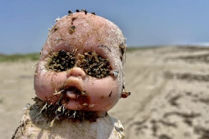 En las playas de Texas es común encontrarse con extremidades de muñecas, las cuales son subastadas en un evento anual