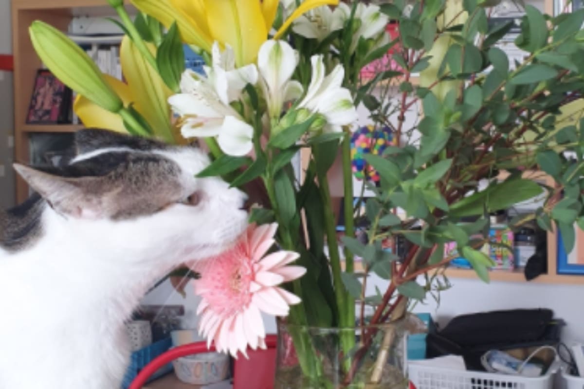 En las redes sociales, una mujer contó su dura experiencia a partir de un ramo de flores que tuvo consecuencias inesperadas