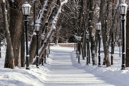 En las temporadas en que el fenómeno La Niña ingresó en Norteamérica se reportó la caída de entre 55 y 140 centímetros de nieve