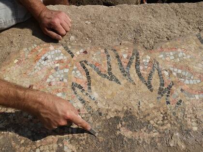 En las Termas Orientales hallaron mosaicos con figuras de vegetales y frutas