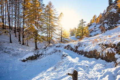 En las zonas de montaña al norte de EE.UU. es casi seguro que haya nieve durante la mañana del 25 de diciembre