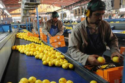 En limón hubo una mejora del 24%, según el informe del Ieral