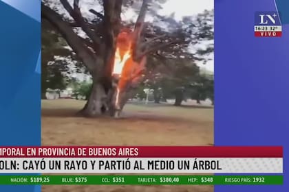 En Lincoln cayó un rayo en un árbol