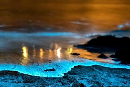 En lndian River Lagoon se observa la bioluminiscencia como uno de los espectaculares fenómenos de la naturaleza
