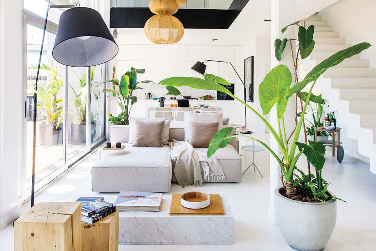 En lo que fue un edificio fabril de Coghlan, una estética reforma integró luminosamente cocina, living y comedor. Y también exterior e interior, a través de una pared transparente que se abre por completo.