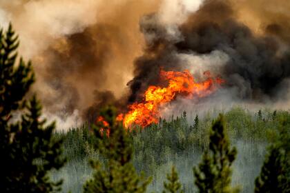 En lo que va de 2024, hubo más de 4000 incendios forestales en Canadá
