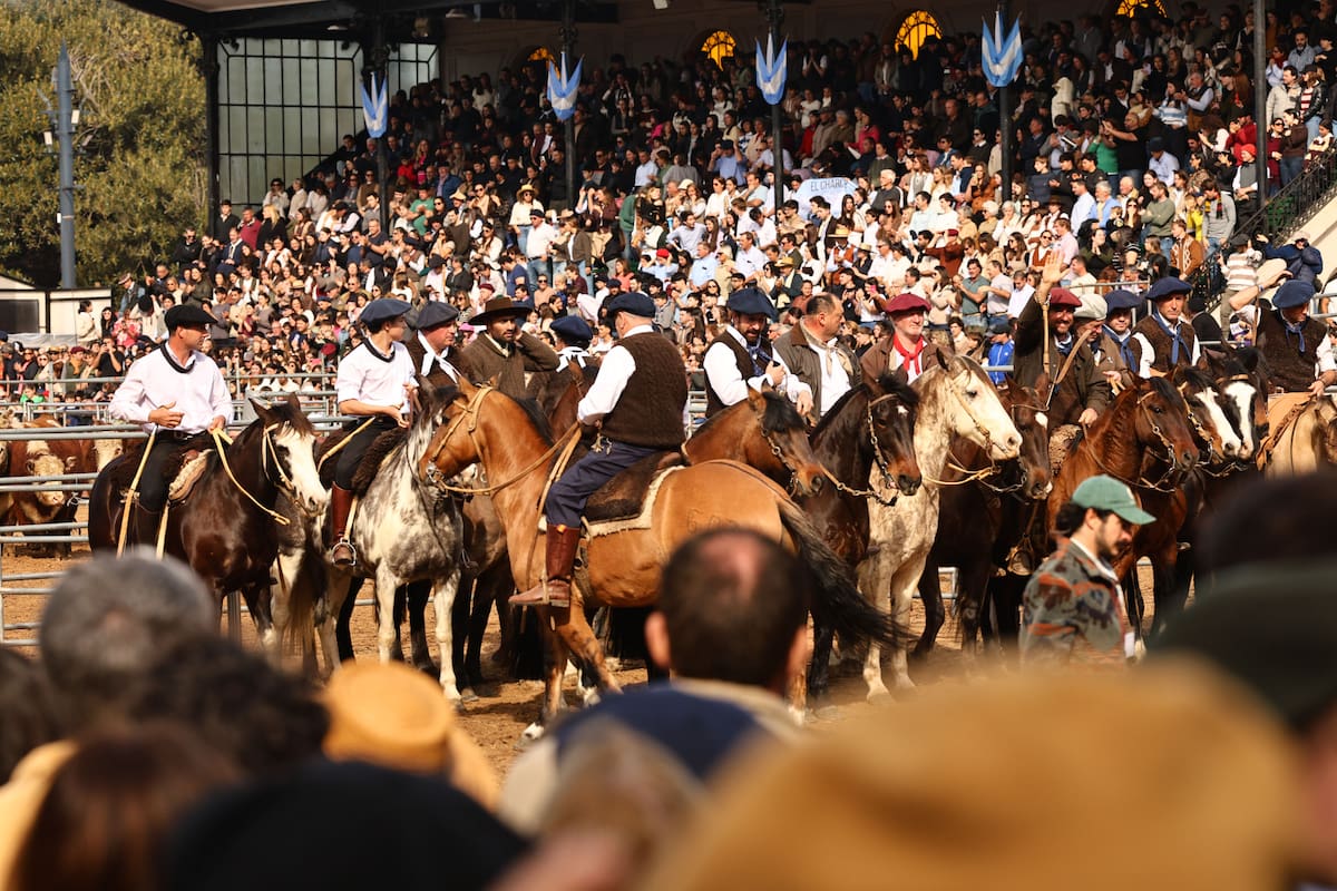 En los 11 días que duró la muestra convivieron las tradicionales juras, remates y pruebas de las distintas razas con una intensa agenda técnica, comercial y cultural, que incluyó peñas folclóricas, productos regionales y nuevas propuestas para las familias