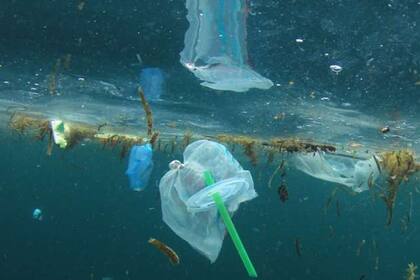 En los 35 Parques Nacionales regirá la normativa y tendrán un plazo de seis meses, desde su reapertura, para adaptarse a la nueva reglamentación