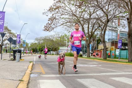 En los 5K, en cambio, el máximo será de dos acompañantes por perro