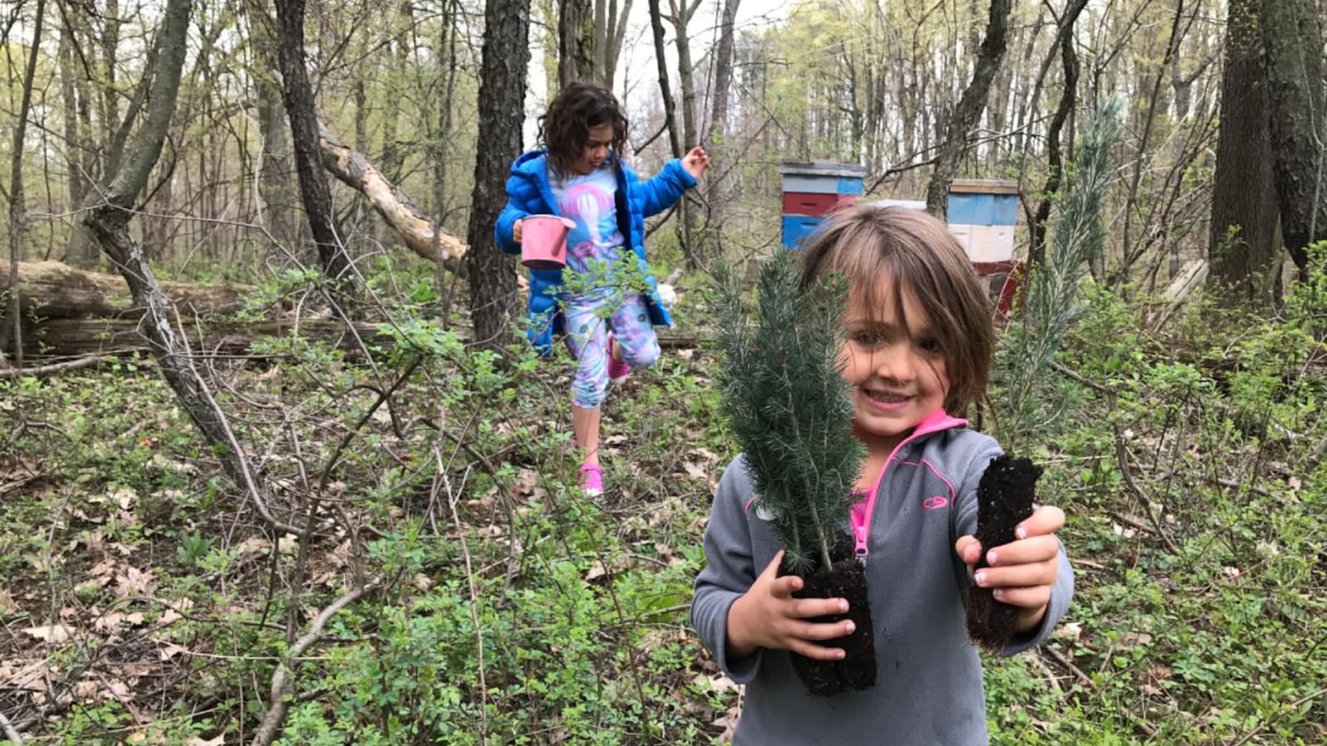 En los bosques de Ontario, Canadá.
