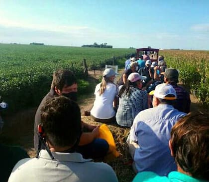 En los diferentes sitios no sólo se busca lograr generar información local respecto de rendimientos para cada zona sino también se realiza un perfil sanitario del mismo
