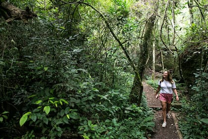 En los distintos senderos para realizar se pueden encontrar gran cantidad de flora y fauna nativa
